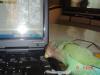 intentando arreglar el teclado