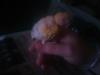 my willi mas espavilao