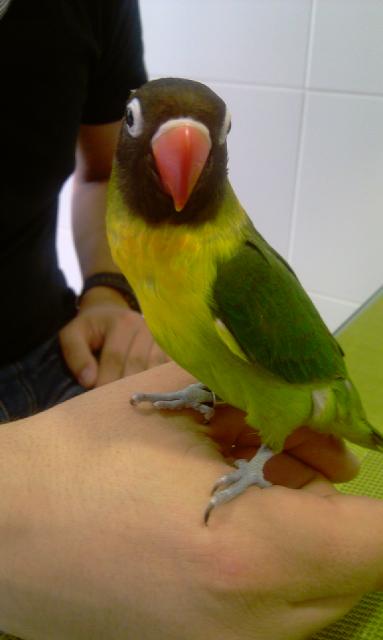foto camilo