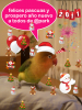 navidad