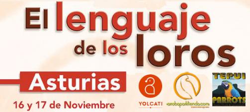 El lenguaje de los loros, ahora en oviedo