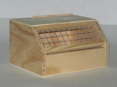 Caja transporte aves