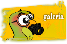 la galería