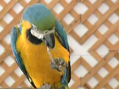 See video