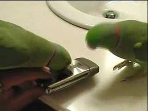 See video