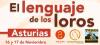 El lenguaje de los loros, ahora en oviedo